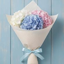 Букет цветов из:  Гортензия в Кривянской