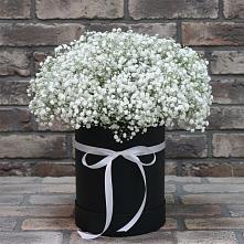 Цветочная композиция из Гипсофила в шляпной коробке #REPLACE_PRED# Кривянской