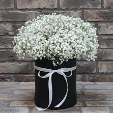 Цветочная композиция из Гипсофила в шляпной коробке в Кривянской