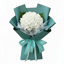Букет цветов из:  Гортензия в Кривянской